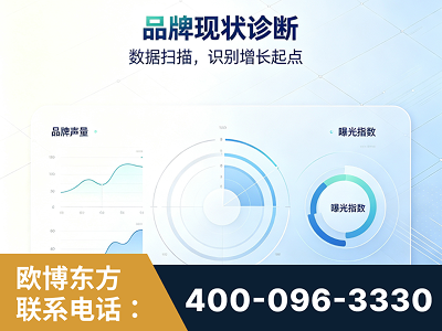 汝州-品牌现状诊断