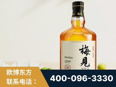汝州-梅见青梅酒